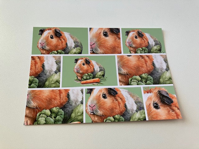 Karten Tierbabys