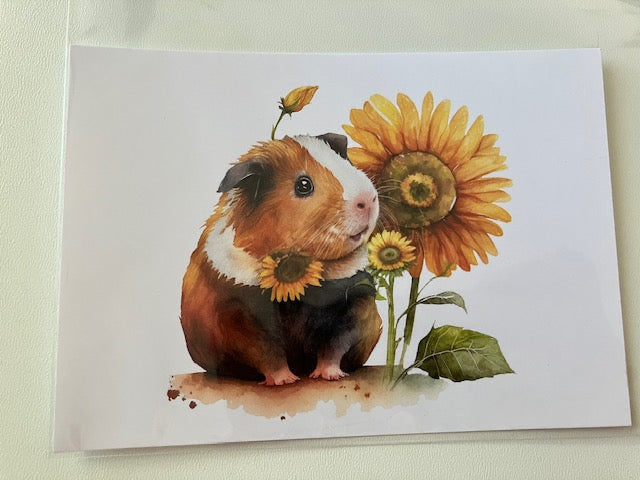 Cards Baby animals