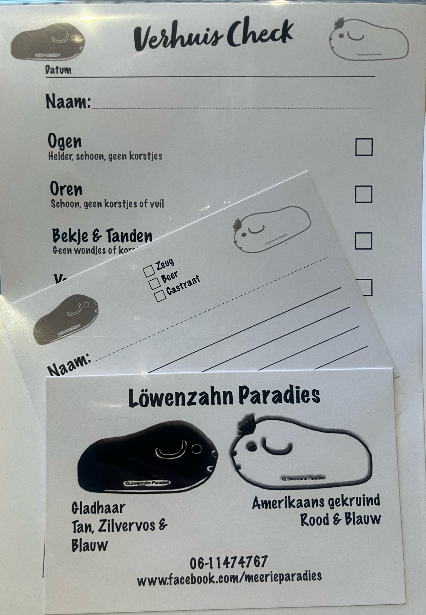 Set ~ gezondheidscheck, stalkaart, visitekaartje eigen logo