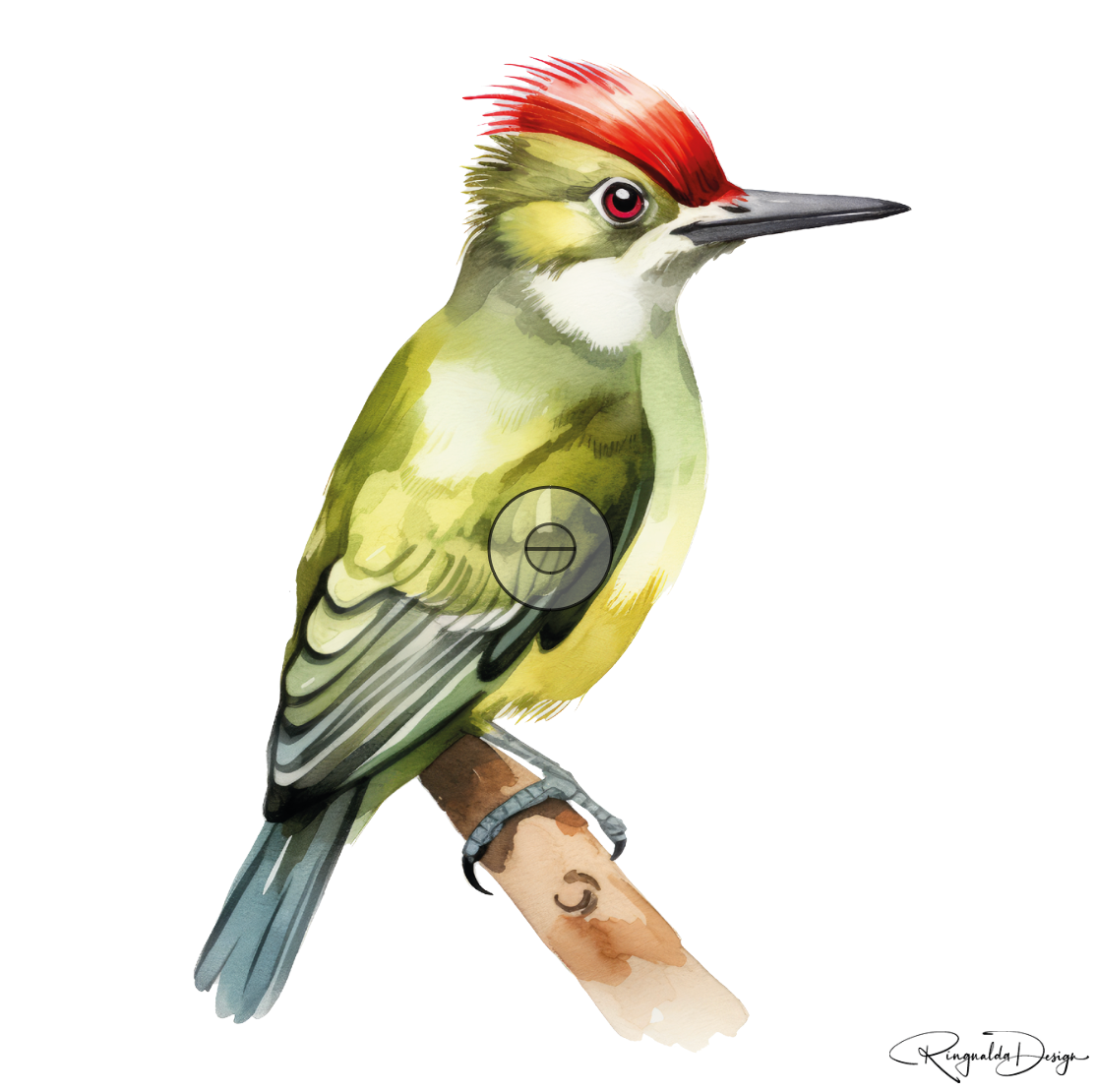 Karten Vögel