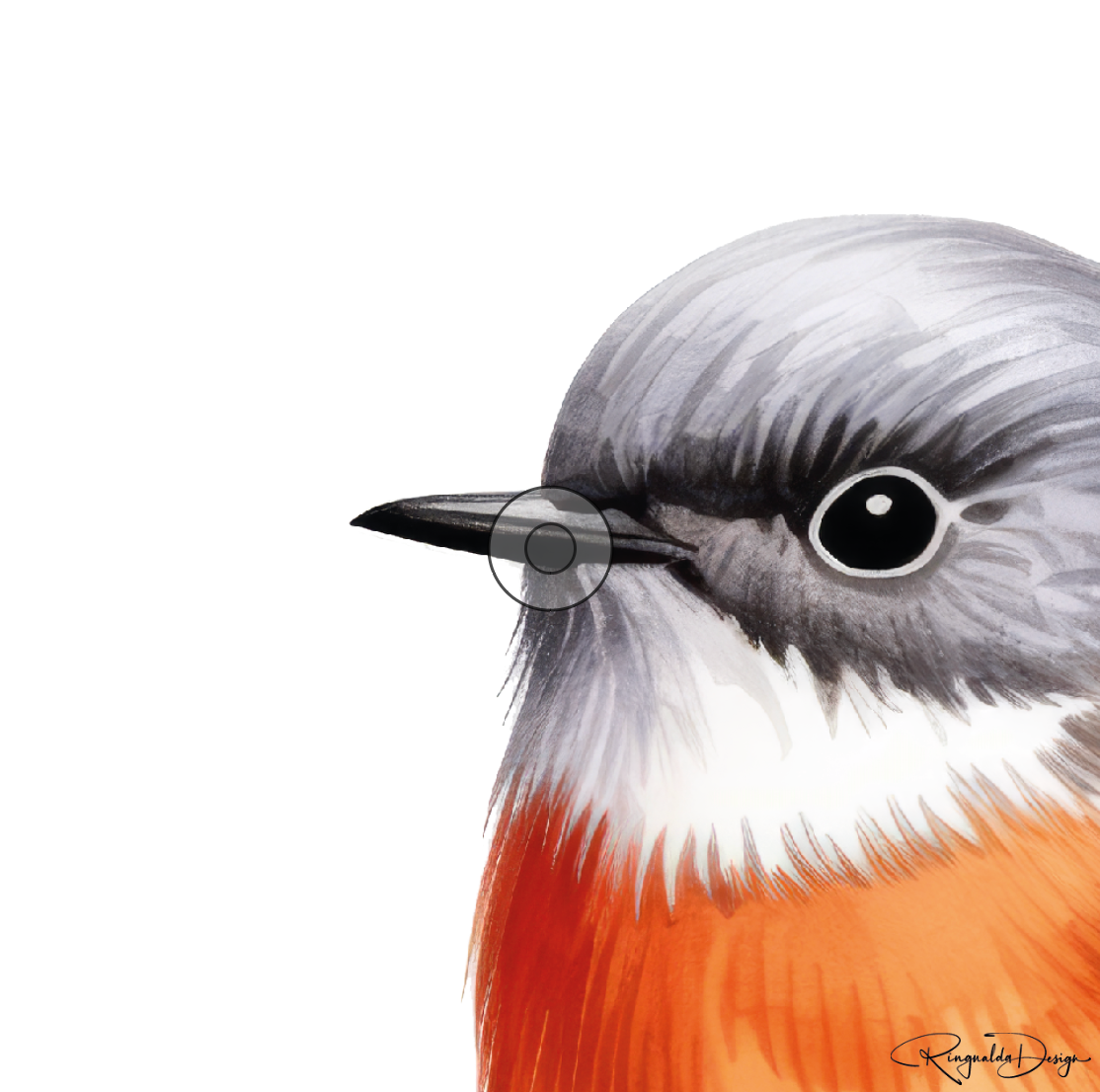 Karten Vögel