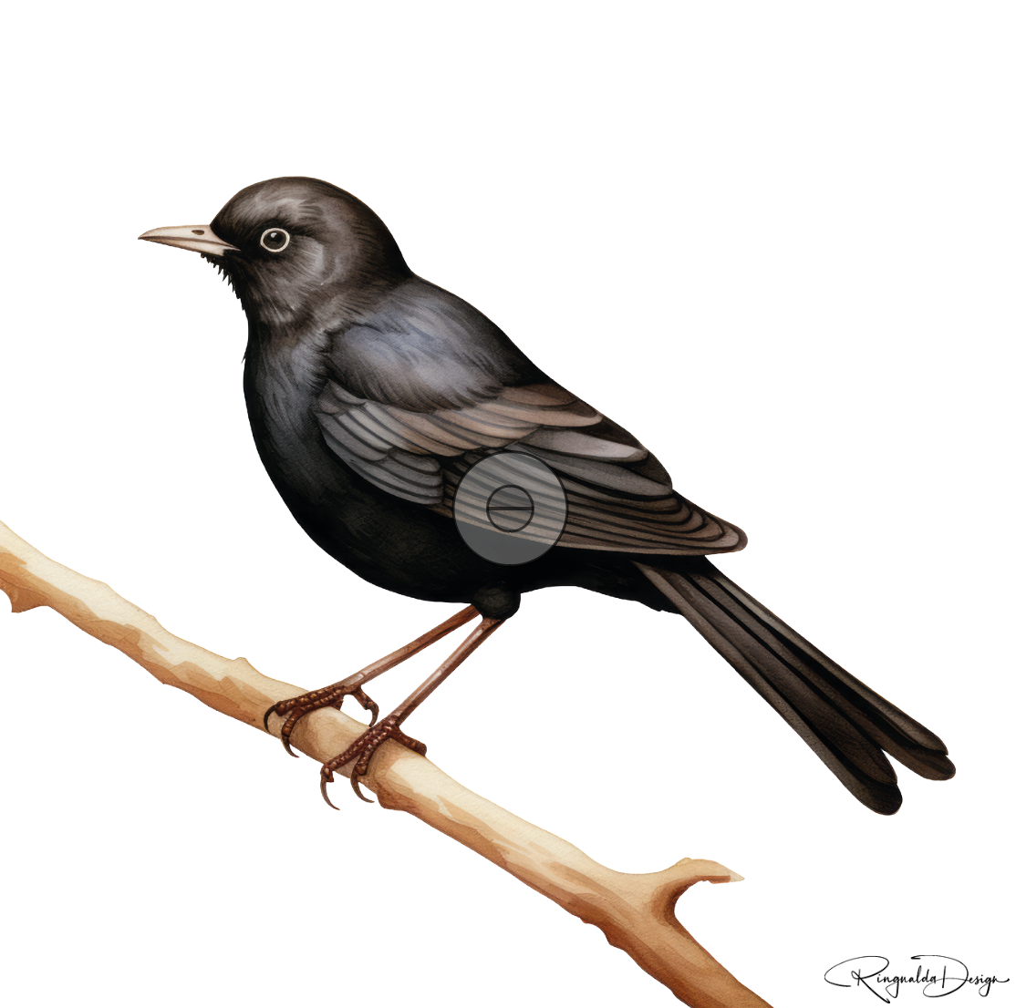 Karten Vögel