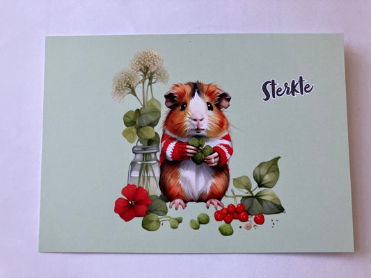 Kaart cavia ~ sterkte