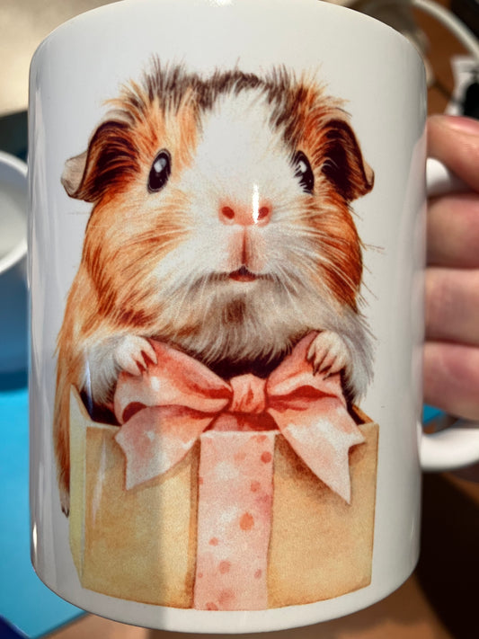 Mok ~ cavia kado