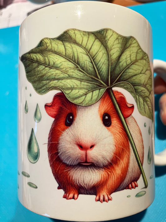 Mok ~ cavia in de regen