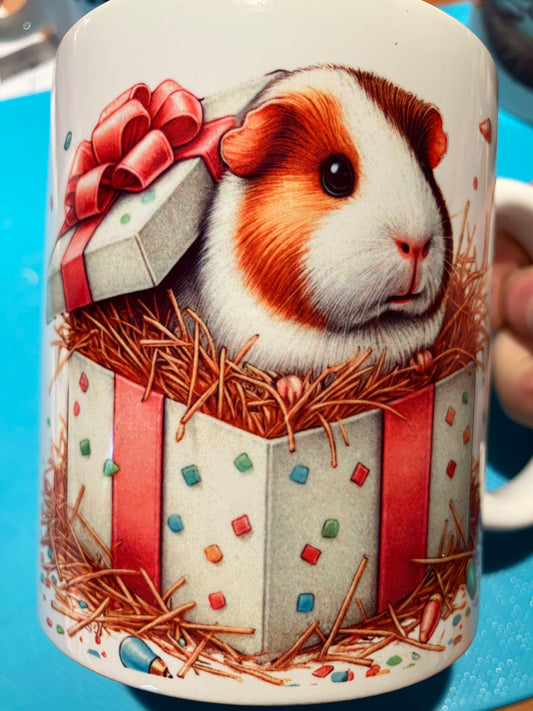 Mok ~ cavia verrassing