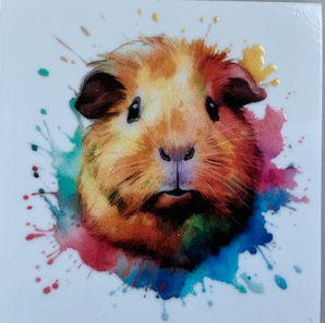 Stickers cavia