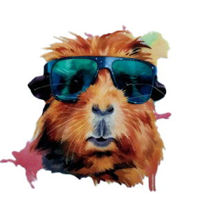 Stickers cavia