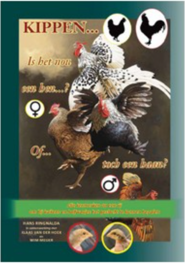 Kippen... Is het nu een haan of een hen?