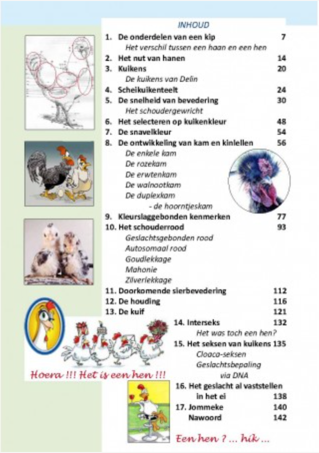 Kippen... Is het nu een haan of een hen?