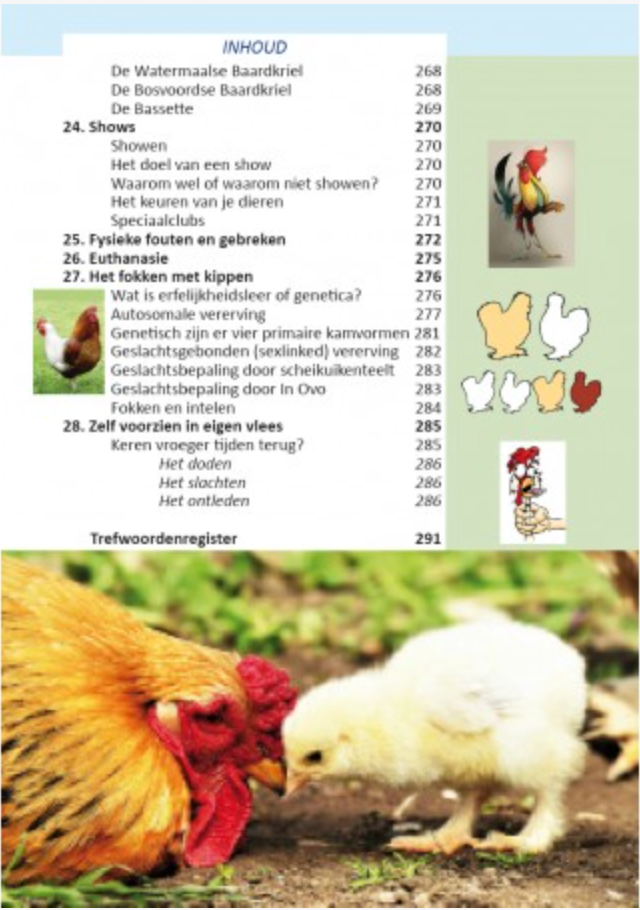 Chicken mania &amp; chicken variety