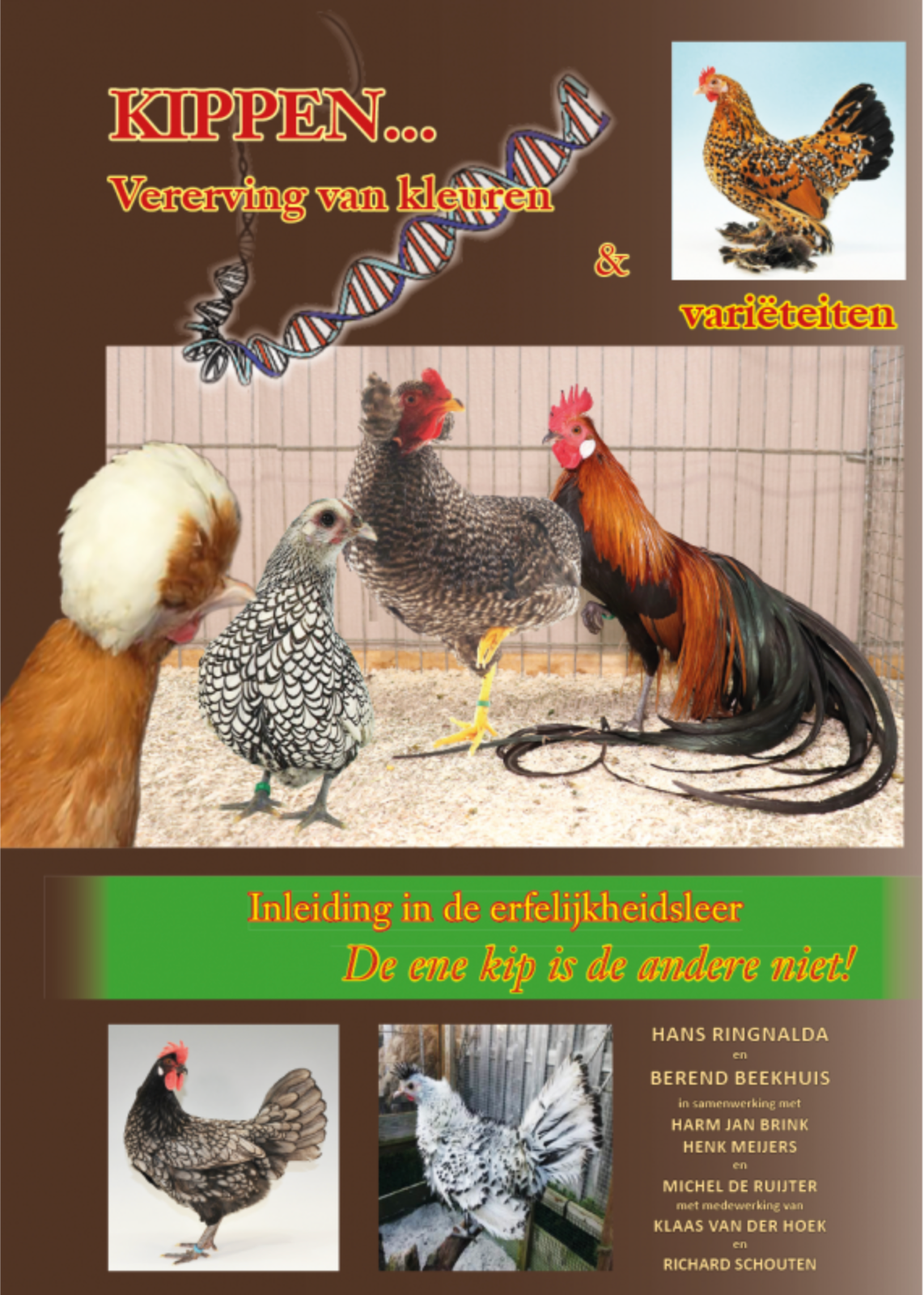 Chicken mania &amp; chicken variety