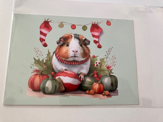 Karten Tierbabys