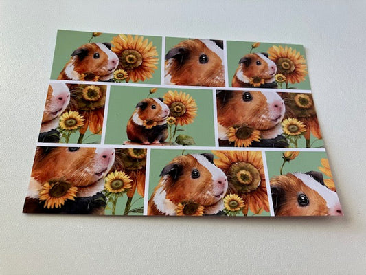 Karten Tierbabys