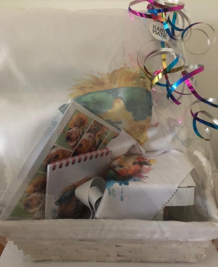Geschenkpaket Meerschweinchen